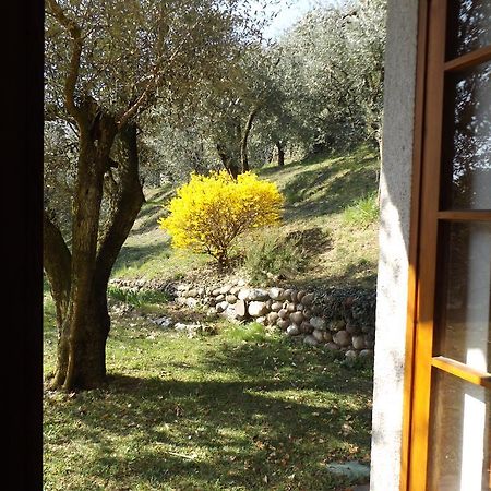Villa Rocca Marciaga エクステリア 写真