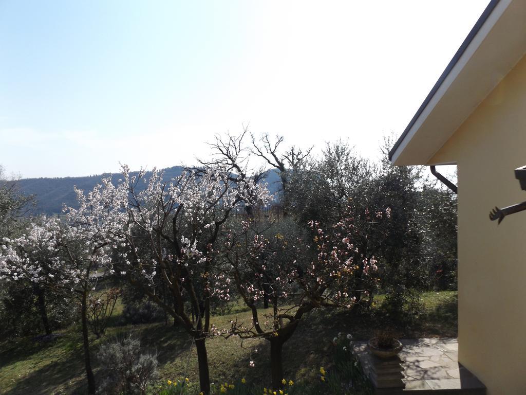 Villa Rocca Marciaga エクステリア 写真